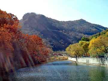 新澳天天开奖资料大全旅游团，孩子厌学